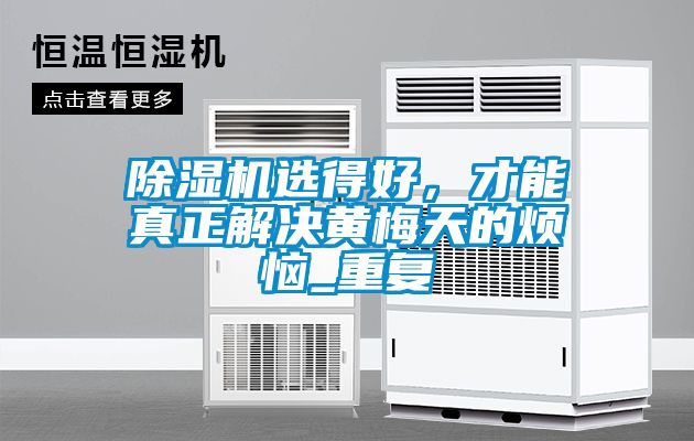 草莓视频黄色在线观看机选得好，才能真正解决黄梅天的烦恼_重复