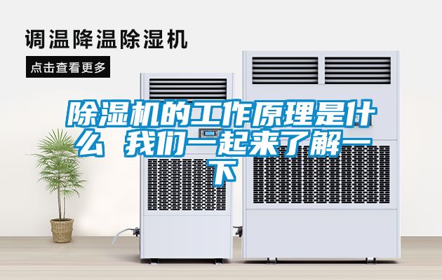 草莓视频黄色在线观看机的工作原理是什么 草莓视频下载安装一起来了解一下