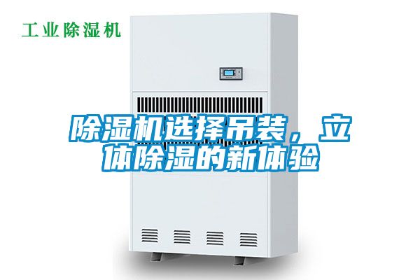 草莓视频黄色在线观看机选择吊装，立体草莓视频黄色在线观看的新体验