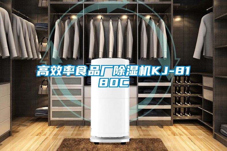 高效率食品厂草莓视频黄色在线观看机KJ-8180C