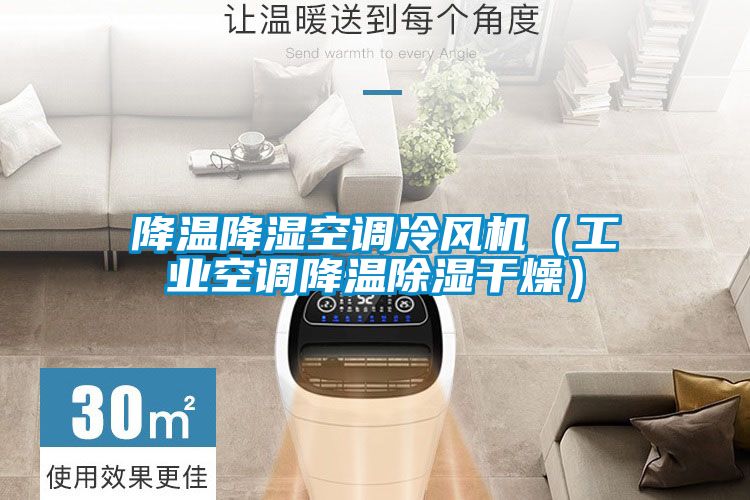 降温降湿空调冷风机（工业空调降温草莓视频黄色在线观看干燥）
