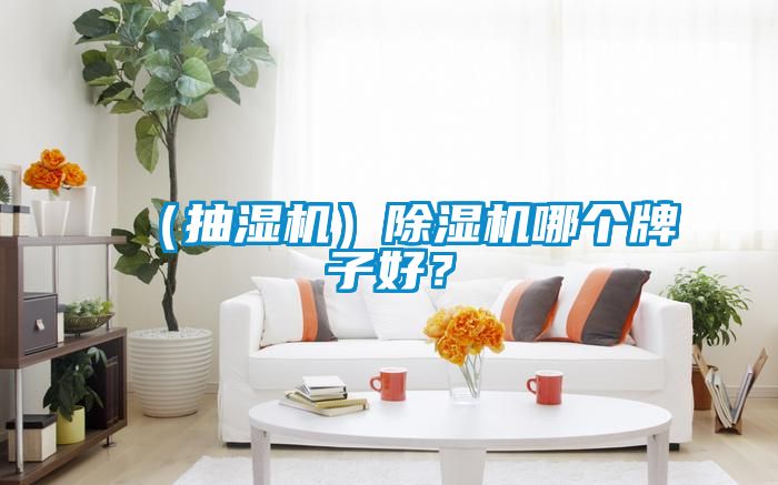 （抽湿机）草莓视频黄色在线观看机哪个牌子好？
