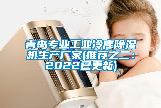 青岛专业工业冷库草莓视频黄色在线观看机生产厂家(推荐之二：2022已更新)