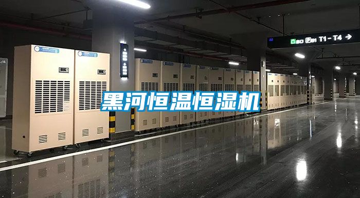 黑河恒温恒湿机