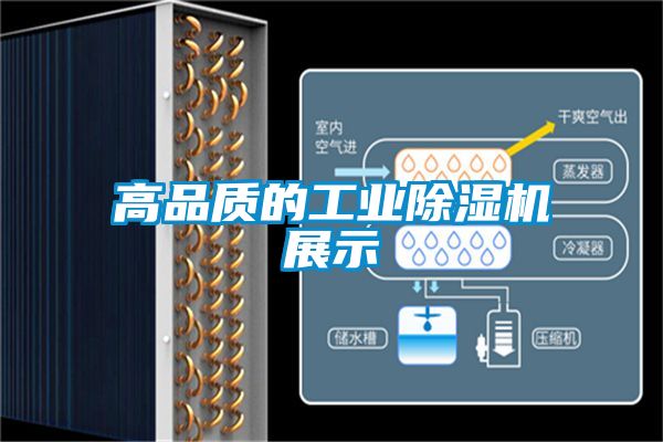 高品质的工业草莓视频黄色在线观看机展示