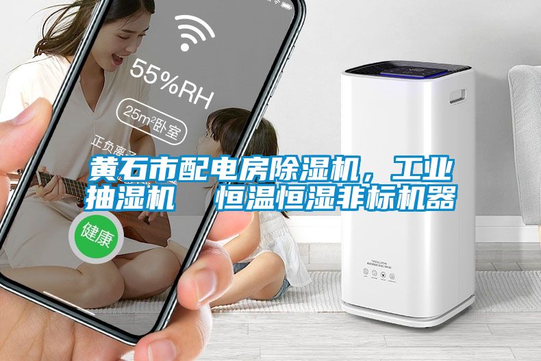黄石市配电房草莓视频黄色在线观看机，工业抽湿机  恒温恒湿非标机器