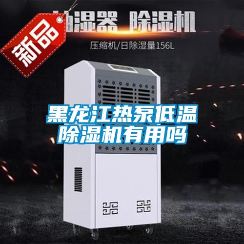 黑龙江热泵低温草莓视频黄色在线观看机有用吗