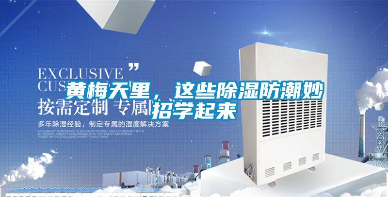 黄梅天里，这些草莓视频黄色在线观看防潮妙招学起来