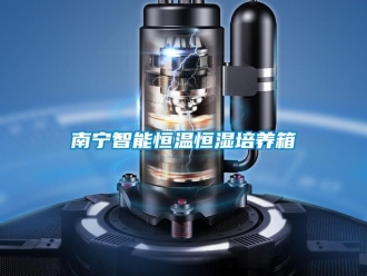 知识百科南宁智能恒温恒湿培养箱