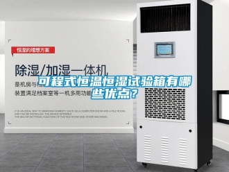 知识百科可程式恒温恒湿试验箱有哪些优点？