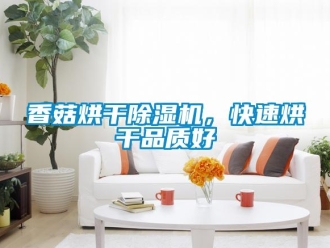 知识百科香菇烘干草莓视频黄色在线观看机，快速烘干品质好