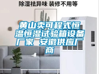 知识百科黄山卖可程式恒温恒湿试验箱设备厂家 安徽供应厂商