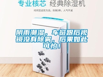 知识百科阴雨潮湿，车窗跟后视镜没有除雾，后果如此可怕！
