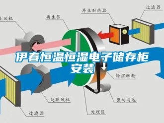 知识百科伊春恒温恒湿电子储存柜安装