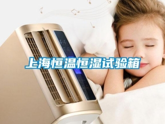 知识百科上海恒温恒湿试验箱