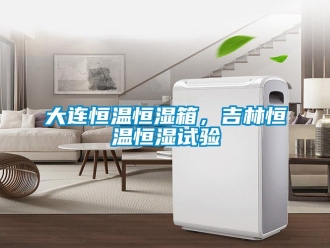 知识百科大连恒温恒湿箱，吉林恒温恒湿试验