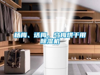 知识百科杨梅、话梅、乌梅烘干用草莓视频黄色在线观看机