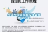 恒温恒湿实验室设计装修解决草莓视频成人污版APP