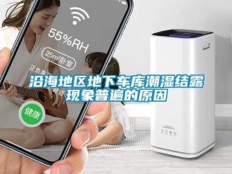 知识百科沿海地区地下车库潮湿结露现象普遍的原因