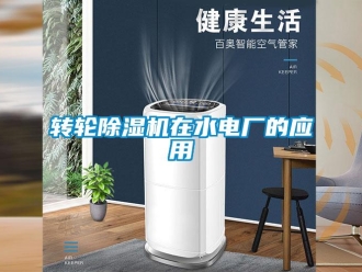 知识百科转轮草莓视频黄色在线观看机在水电厂的应用