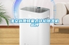 淮安优质蜂巢式转轮草莓视频黄色在线观看机品牌