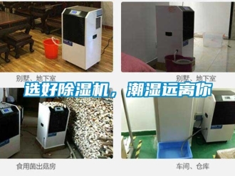 知识百科选好草莓视频黄色在线观看机，潮湿远离你