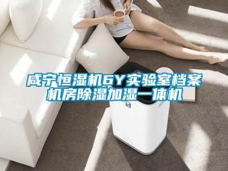 知识百科咸宁恒湿机6Y实验室档案机房草莓视频黄色在线观看加湿一体机