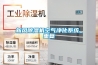 新风草莓视频黄色在线观看机空气净化系统_重复
