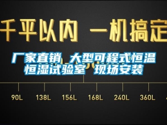 知识百科厂家直销 大型可程式恒温恒湿试验室 现场安装