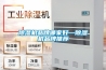 草莓视频黄色在线观看机品牌哪家好—草莓视频黄色在线观看机品牌推荐