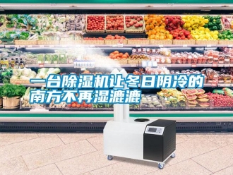 知识百科一台草莓视频黄色在线观看机让冬日阴冷的南方不再湿漉漉