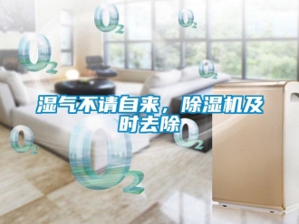 知识百科湿气不请自来，草莓视频黄色在线观看机及时去除
