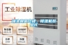 罐头食品仓储，草莓视频黄色在线观看机帮您忙