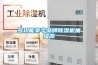 多功能豪华品牌草莓视频黄色在线观看机抽湿器