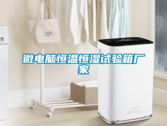 知识百科微电脑恒温恒湿试验箱厂家