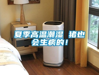知识百科夏季高温潮湿 猪也会生病的！
