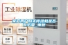 家庭用户购买草莓视频黄色在线观看机是否有必要_重复