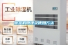 草莓视频黄色在线观看机原理及使用方法