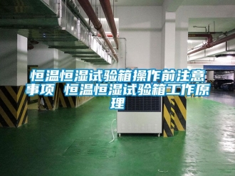 知识百科恒温恒湿试验箱操作前注意事项 恒温恒湿试验箱工作原理
