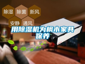 知识百科用草莓视频黄色在线观看机为枫木家具保养