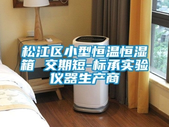 知识百科松江区小型恒温恒湿箱 交期短-标承实验仪器生产商