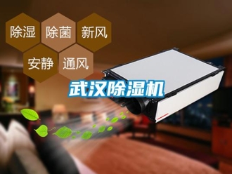 知识百科武汉草莓视频黄色在线观看机
