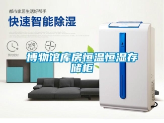 知识百科博物馆库房恒温恒湿存储柜