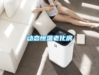知识百科动态恒温老化房