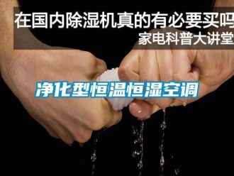知识百科净化型恒温恒湿空调