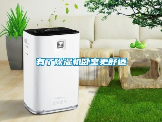 知识百科有了草莓视频黄色在线观看机卧室更舒适