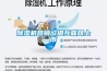 草莓视频黄色在线观看机营销欲借互联网上市