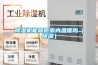 草莓视频黄色在线观看机能降低室内温度吗（草莓视频黄色在线观看）