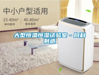 知识百科大型恒温恒湿试验室－向科制造
