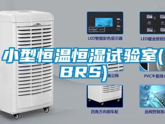 知识百科小型恒温恒湿试验室(BRS)